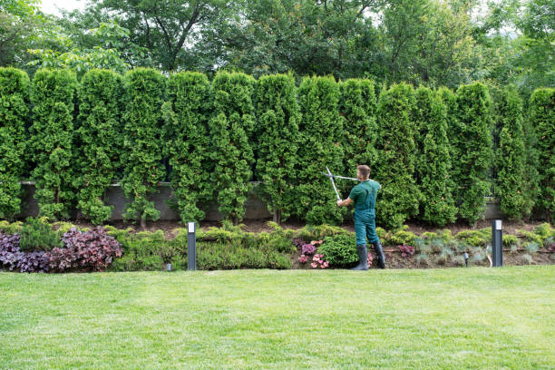 Lawn Maintenance Plans in Port Washington, WI